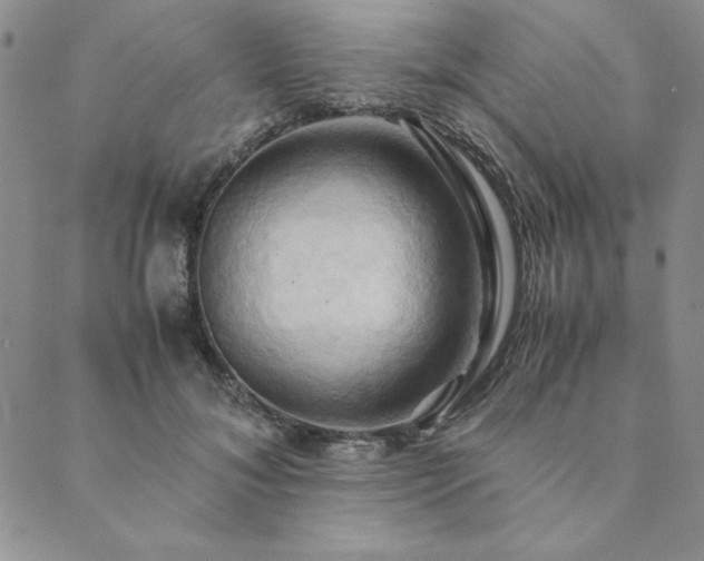 X0000090490700200707131327