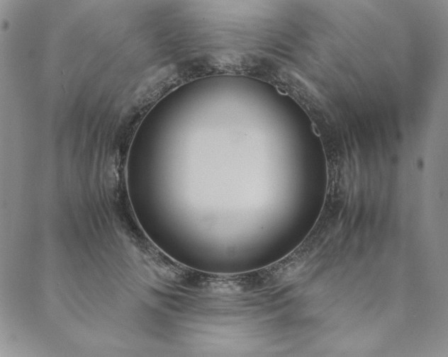 X0000090490702200707131327