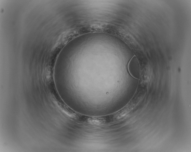 X0000090490706200707131327