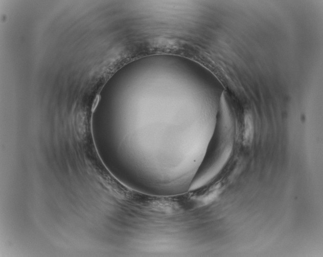 X0000090490708200707131327