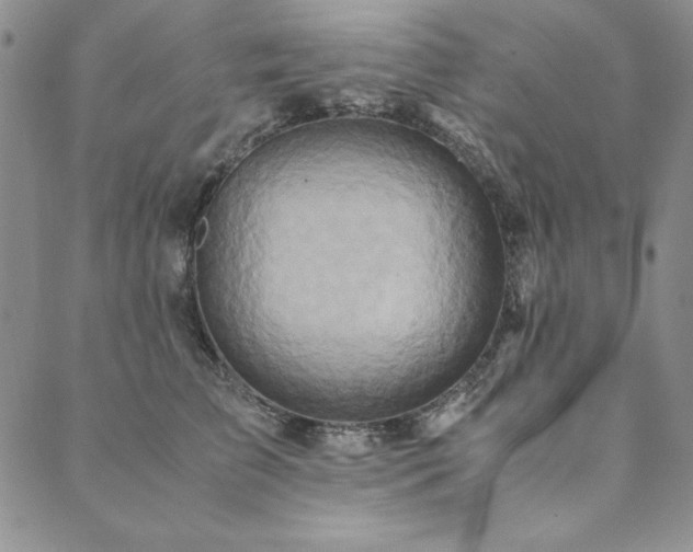 X0000090490709200707131327