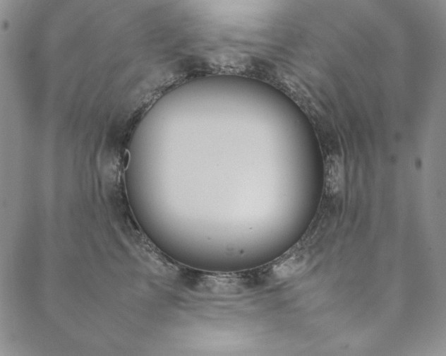 X0000090490713200707131327
