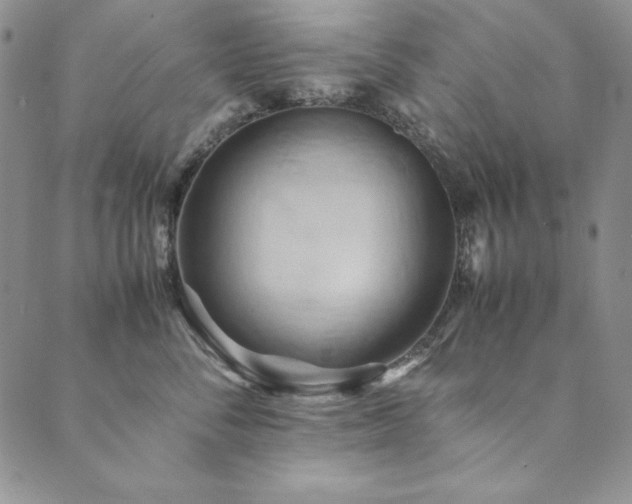 X0000090490716200707131327