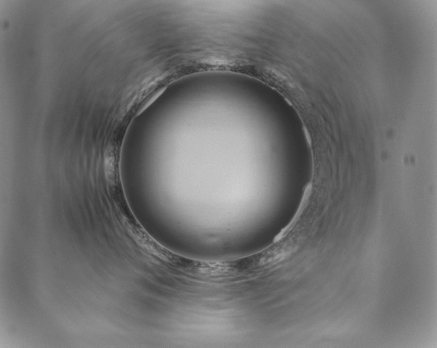 X0000090490720200707131327