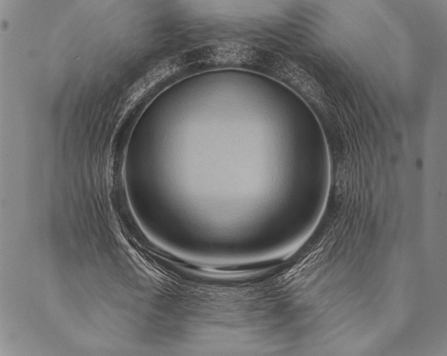 X0000090490722200707131326