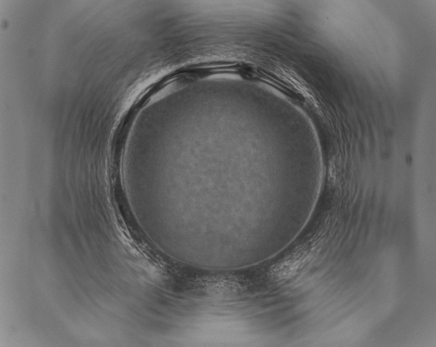 X0000090490724200707131326