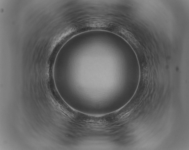 X0000090490727200707131326