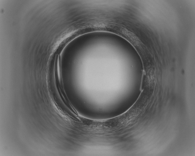 X0000090490728200707131326