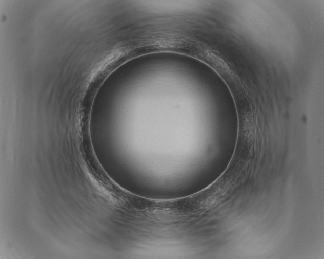X0000090490730200707131326