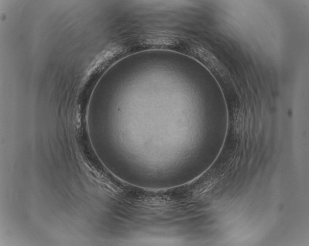X0000090490731200707131326