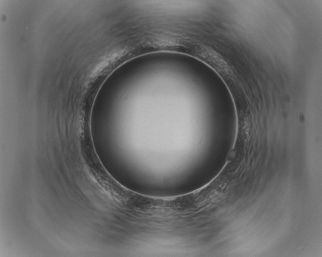 X0000090490732200707131326