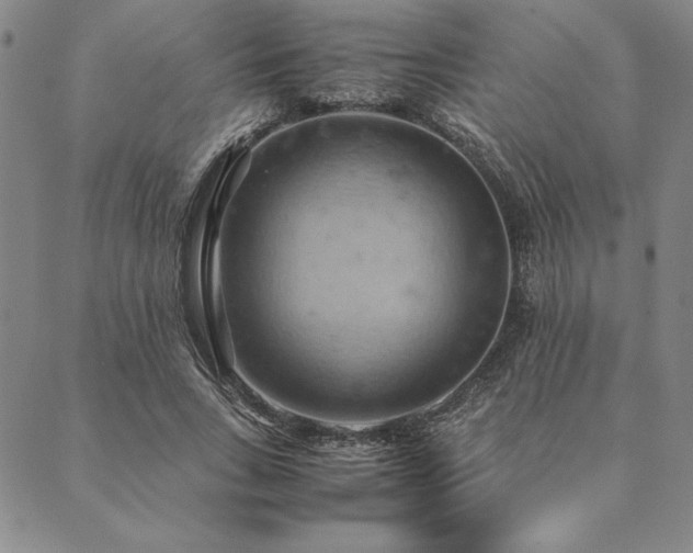 X0000090490735200707131327