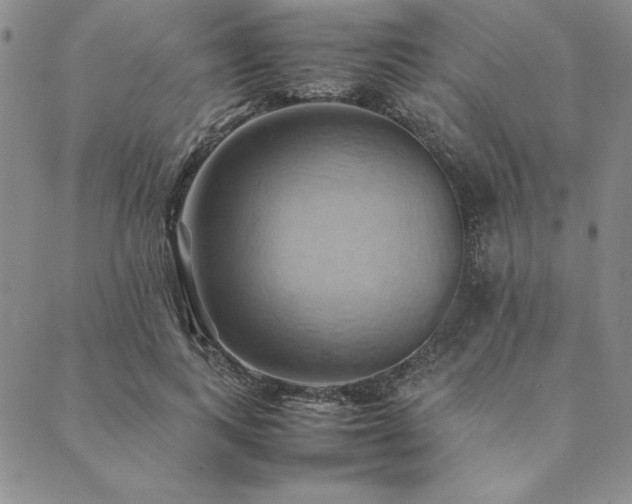 X0000090490743200707131327