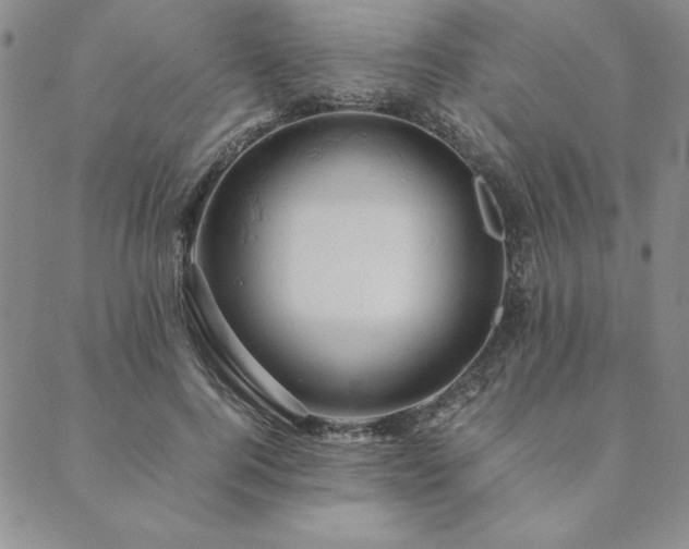 X0000090490744200707131327