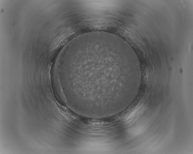 X0000090490746200707131327