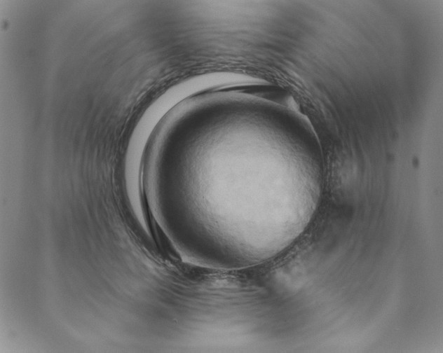 X0000090490750200707131327