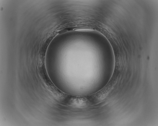 X0000090490751200707131327