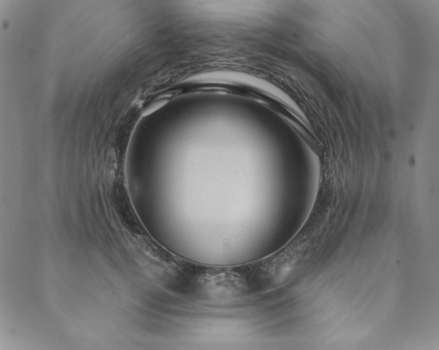 X0000090490752200707131327