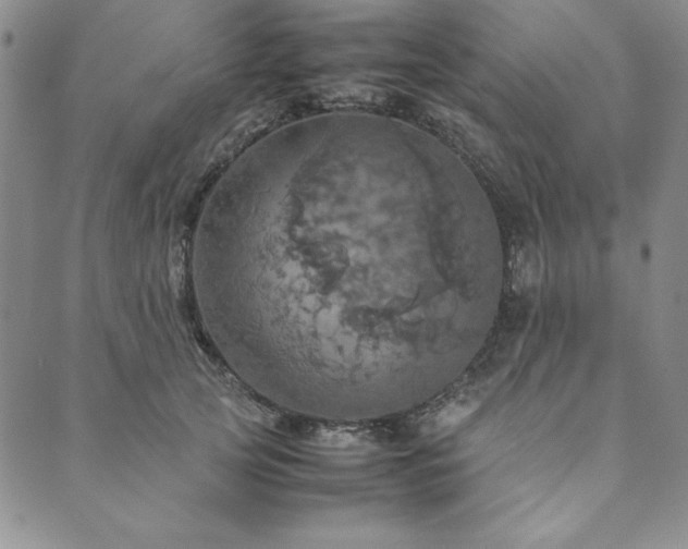 X0000090490753200707131327