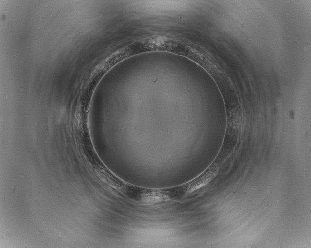 X0000090490754200707131327