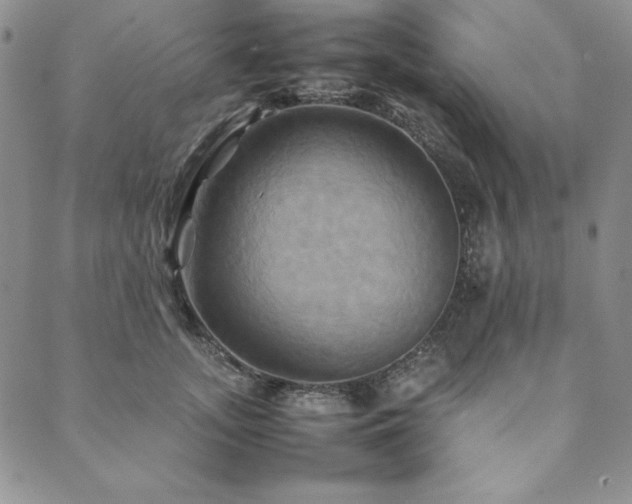 X0000090490755200707131327