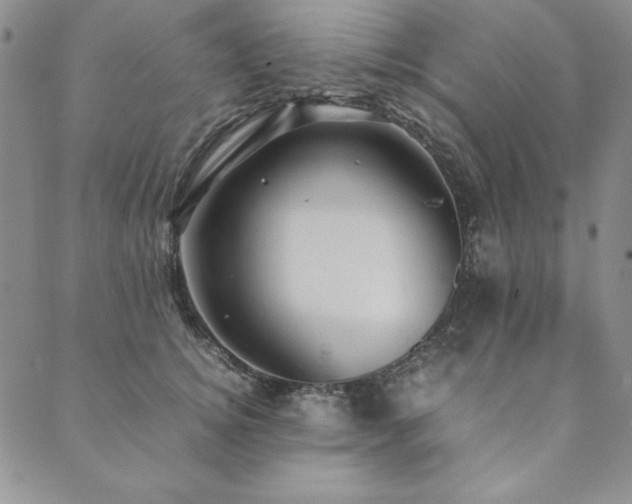 X0000090490756200707131327