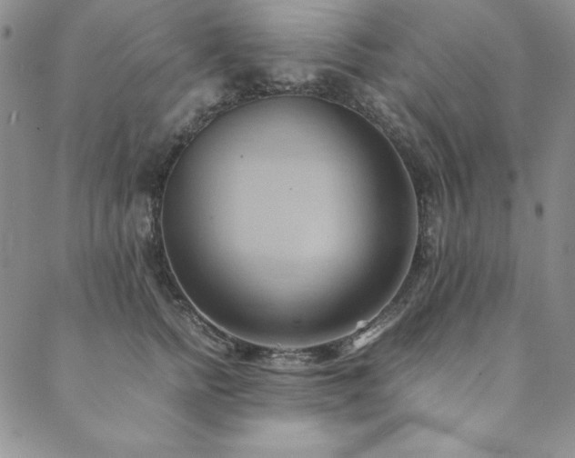 X0000090490758200707131327