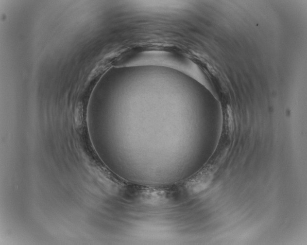 X0000090490760200707131327