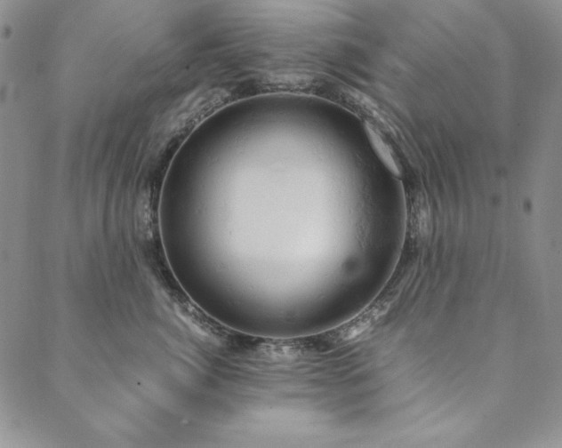 X0000090490764200707131327