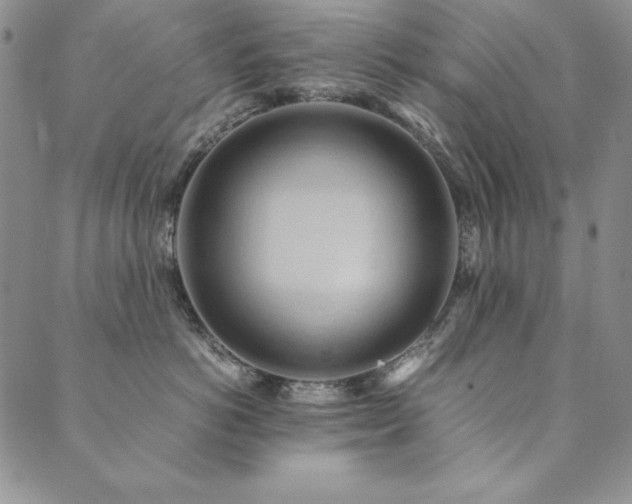 X0000090490766200707131327