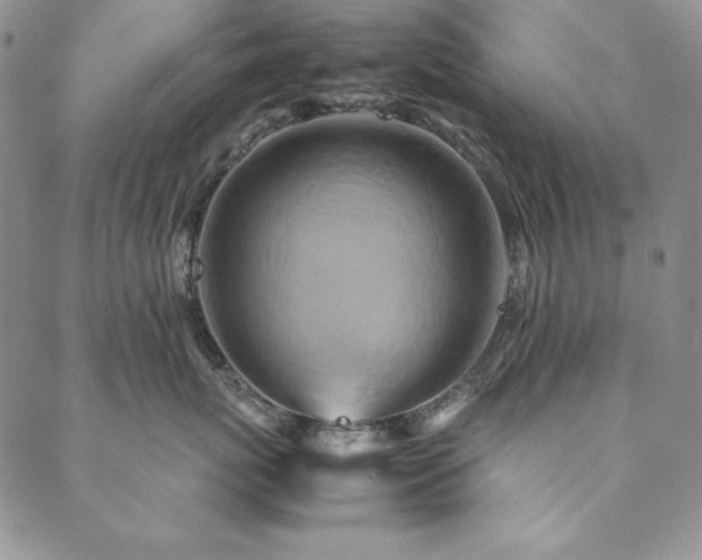X0000090490767200707131327