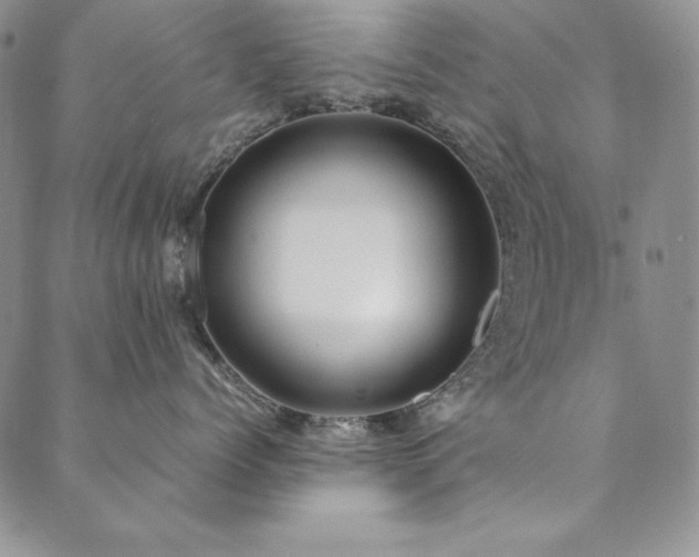 X0000090490768200707131327