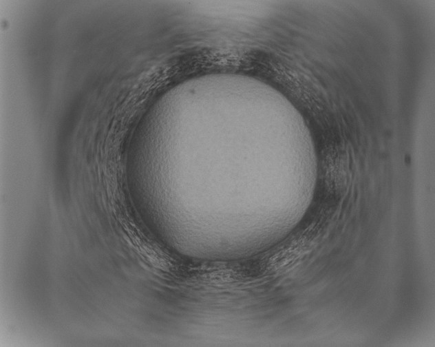 X0000090490769200707131326