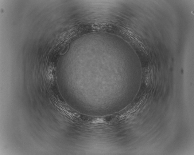 X0000090490770200707131326