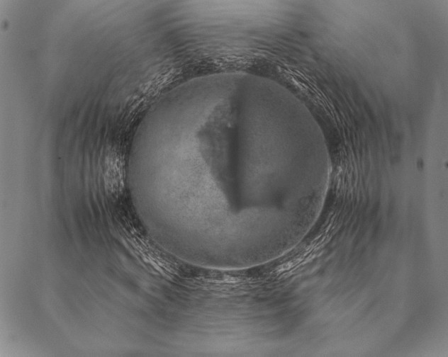 X0000090490772200707131326