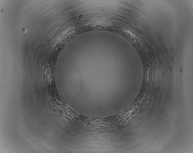 X0000090490774200707131326