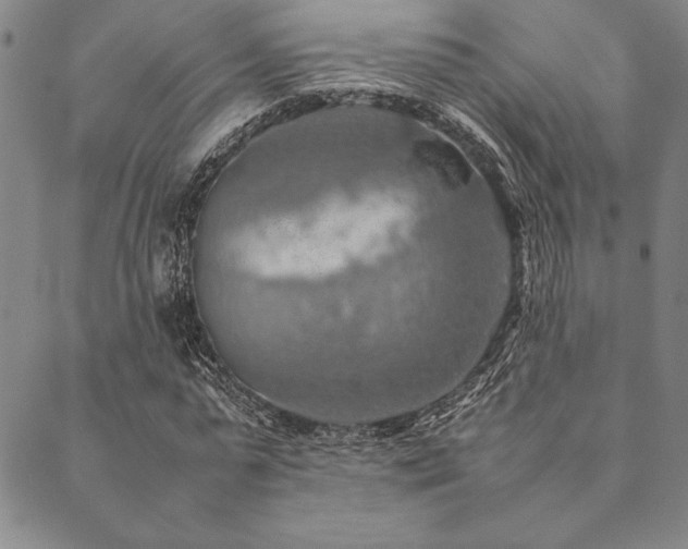 X0000090490775200707131326