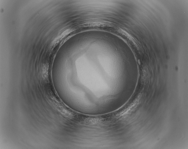 X0000090490778200707131326