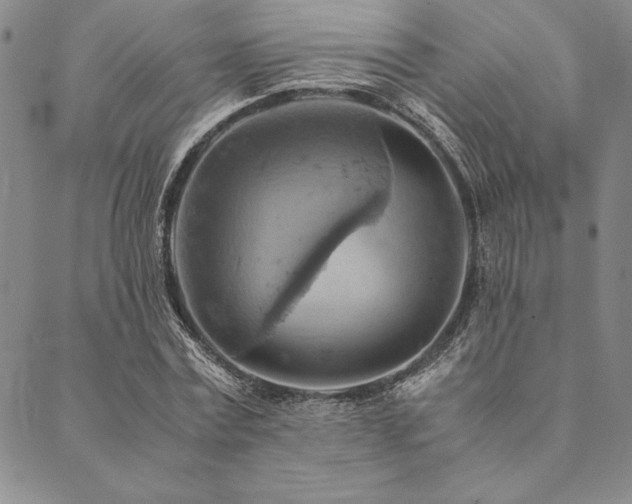 X0000090490779200707131326