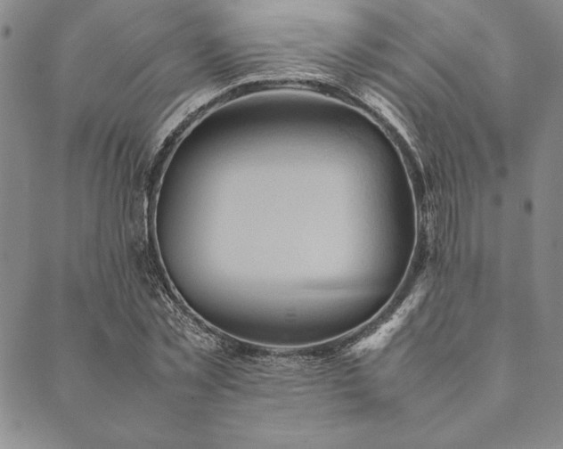 X0000090490781200707131326