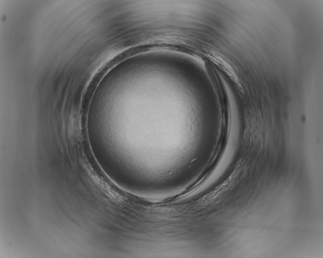 X0000090490784200707131326