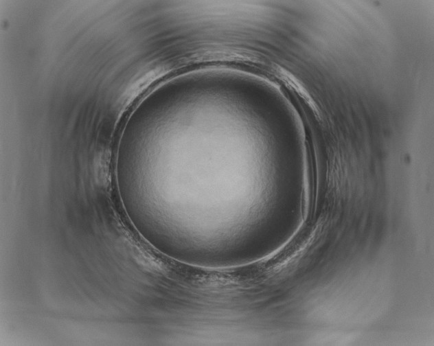 X0000090490786200707131326
