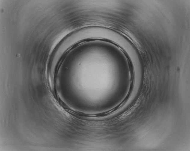 X0000090490788200707131326