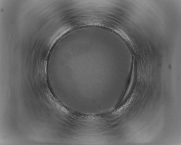 X0000090490790200707131326