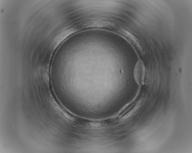 X0000090490794200707131326