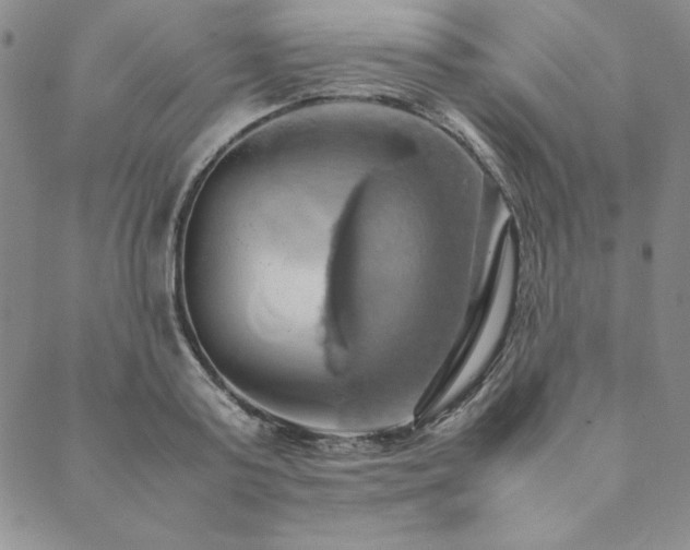 X0000090490795200707131326