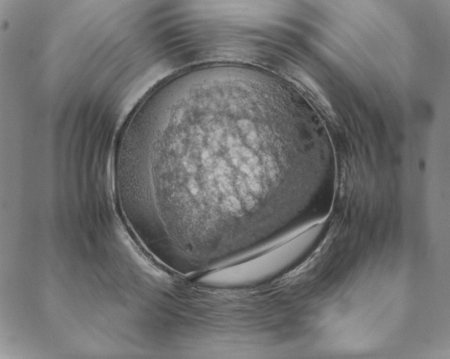 X0000090490796200707131326