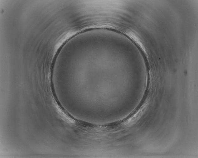X0000090490797200707131326