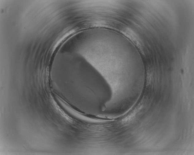 X0000090490798200707131326