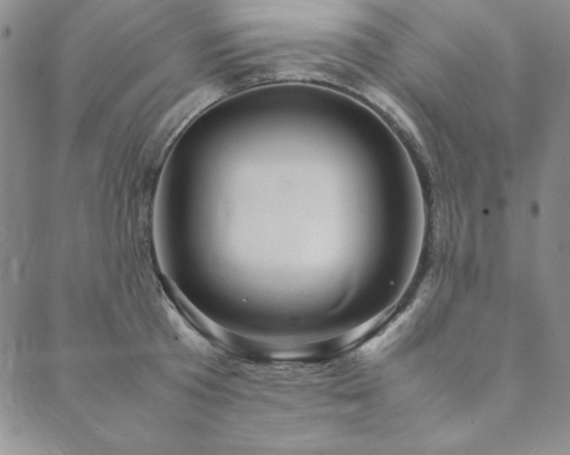X0000090490801200707131326